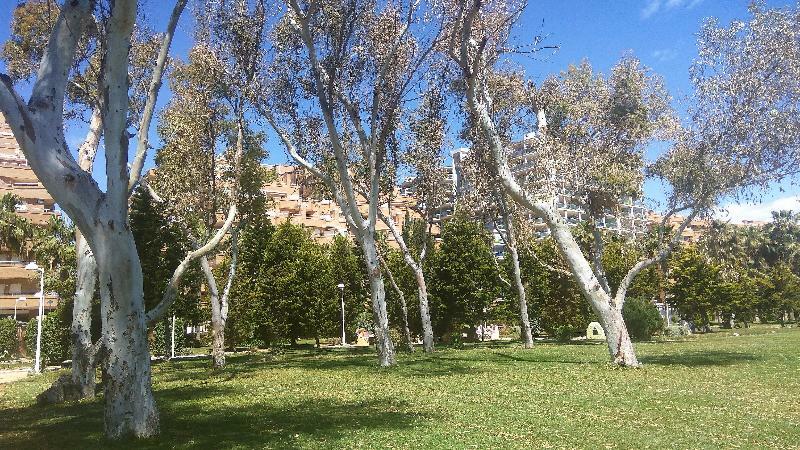 Acv - Costa Marina I-1ª Linea Planta 2 Sur Διαμέρισμα Oropesa del Mar Εξωτερικό φωτογραφία